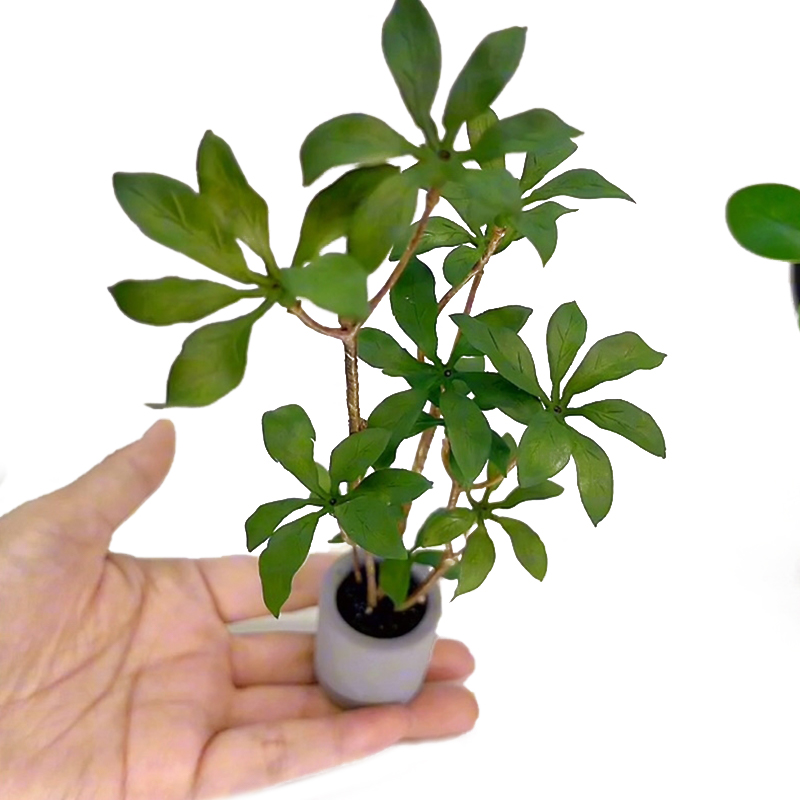 Bonsai Gardenia - บ้านตุ๊กตา1:6กระถางต้นไม้โมเดลสีเขียวใบกระถางต้นไม้บอนไซประดับสวนอุปกรณ์ตกแต่งบ้านตุ๊กตา