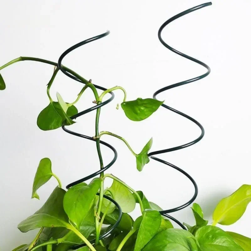 เสาค้ำต้นไม้เลื้อย ที่ค้ำต้นไม - Us Bonsai Garden บทวิจารณ์และราคา