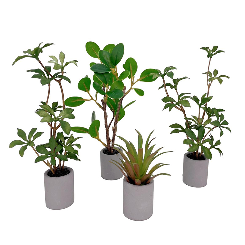 บ้านตุ๊กตา1:6กระถางต้นไม้โมเดล - Bonsai Gardenia บทวิจารณ์และราคา