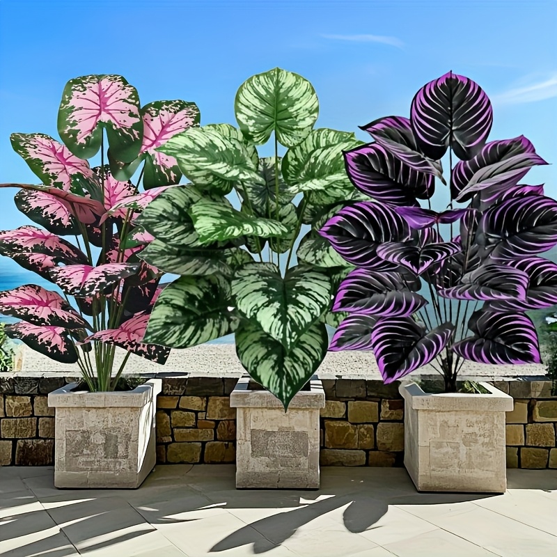 3 ชิ้น 60 เซนติเมตรขนาดใหญ่พืช - Bonsai Gardenia บทวิจารณ์และราคา
