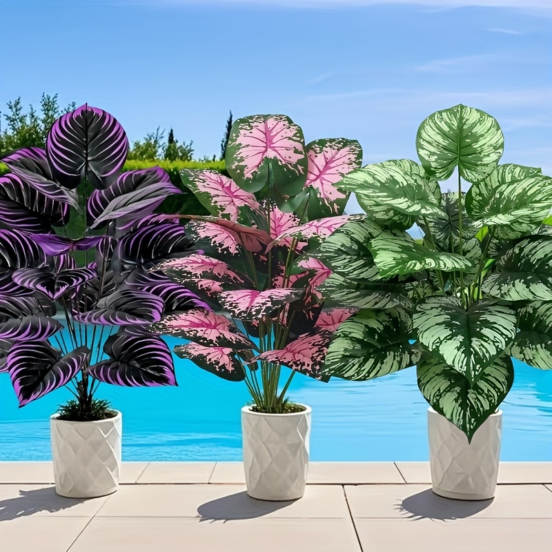 3 ชิ้น 60 เซนติเมตรขนาดใหญ่พืช - Bonsai Gardenia บทวิจารณ์และราคา