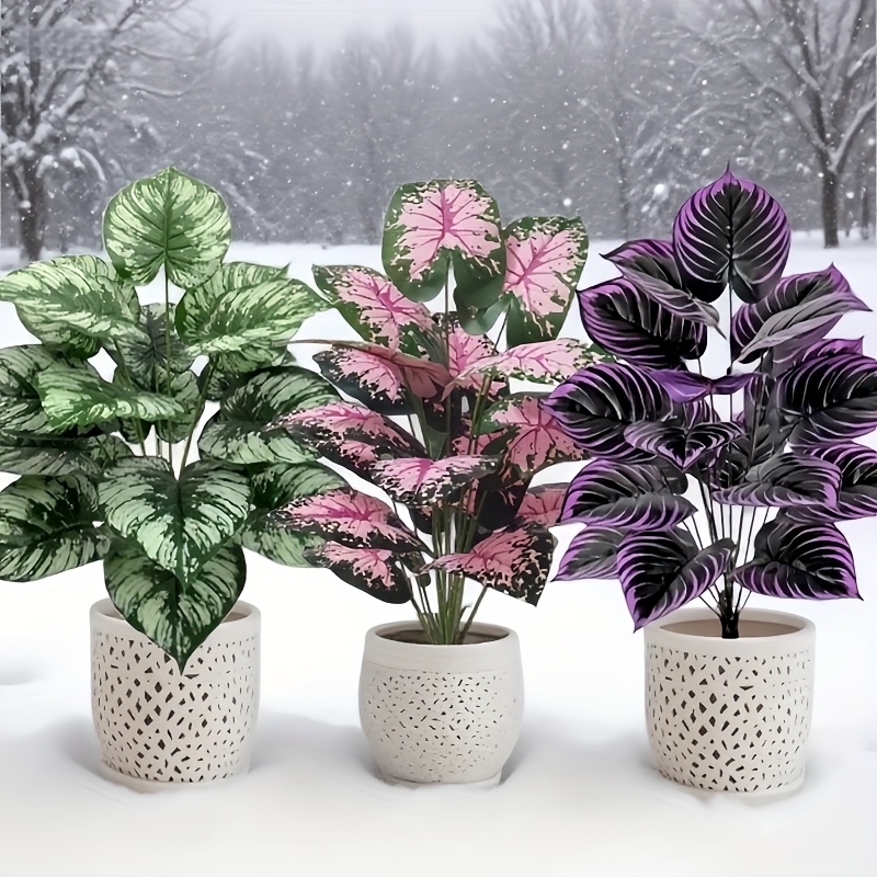 3 ชิ้น 60 เซนติเมตรขนาดใหญ่พืช - Bonsai Gardenia บทวิจารณ์และราคา