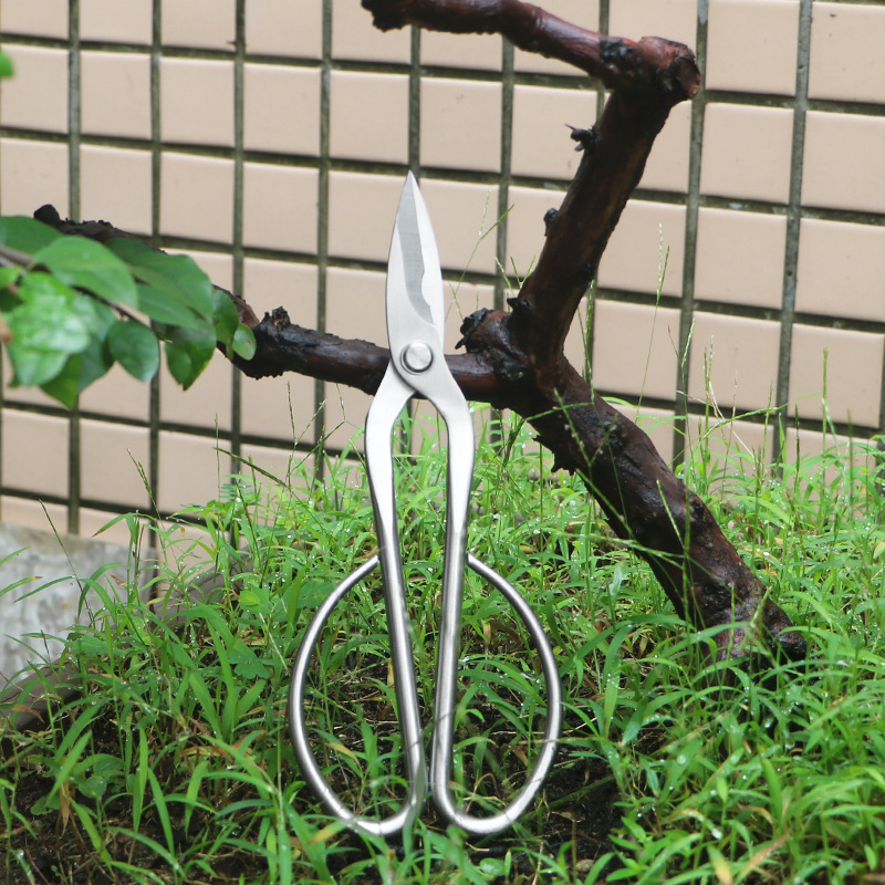 กรรไกรตัดแต่งกิ่งไม้เหล็กทั้งห - Concave Branch Cutter บทวิจารณ์และราคา