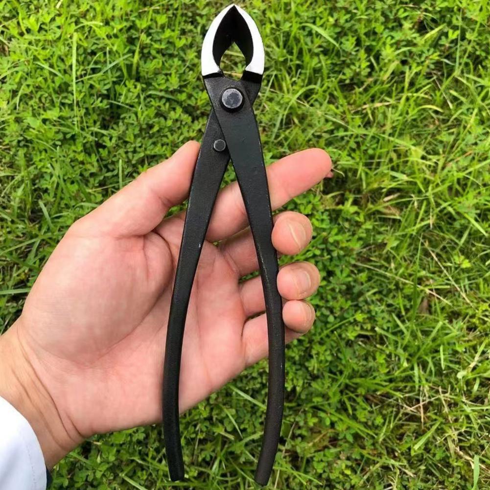 กรรไกรตัดกิ่งบอนไซแบบเว้า ทำจา - Concave Branch Cutter บทวิจารณ์และราคา