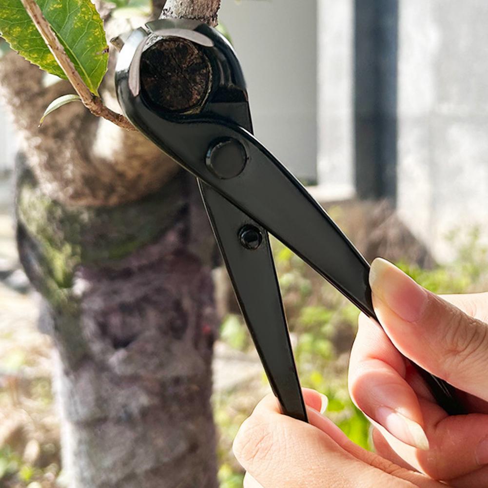 กรรไกรตัดกิ่งบอนไซแบบเว้า ทำจา - Concave Branch Cutter บทวิจารณ์และราคา