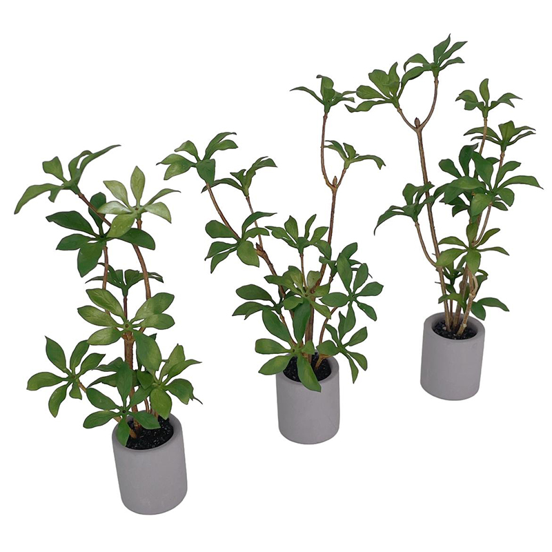 1:6 Dollhouse Miniature กระถาง - Bonsai Gardenia บทวิจารณ์และราคา