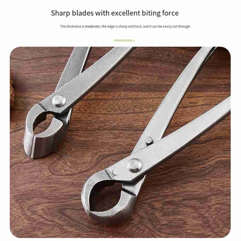 ชุดเครื่องมือตัดแต่งต้นบอนไซ S - Concave Branch Cutter บทวิจารณ์และราคา