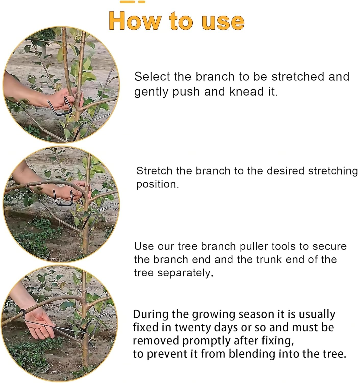 เครื่องมือปรับแต่งกิ่งไม้ผลไม้ - Us Bonsai Garden บทวิจารณ์และราคา