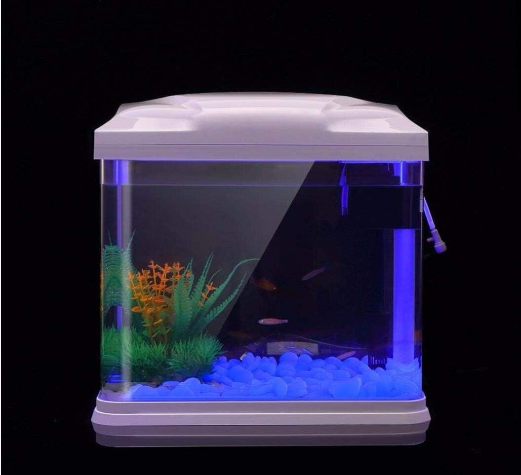ถังปลา Rocks Glow Blue Pebbles - Bonsai Gardenia บทวิจารณ์และราคา