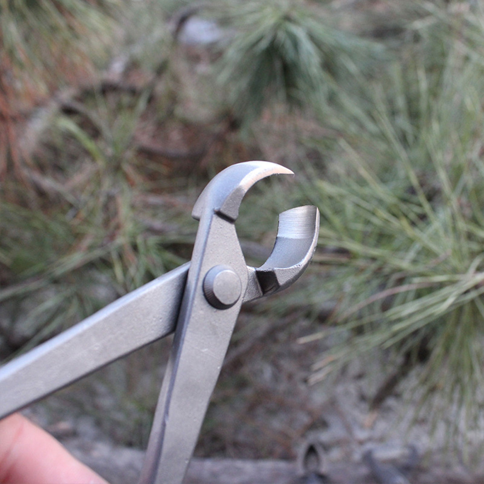 สวนบอนไซเครื่องตัดลูกบิดเว้าเค - Concave Branch Cutter บทวิจารณ์และราคา