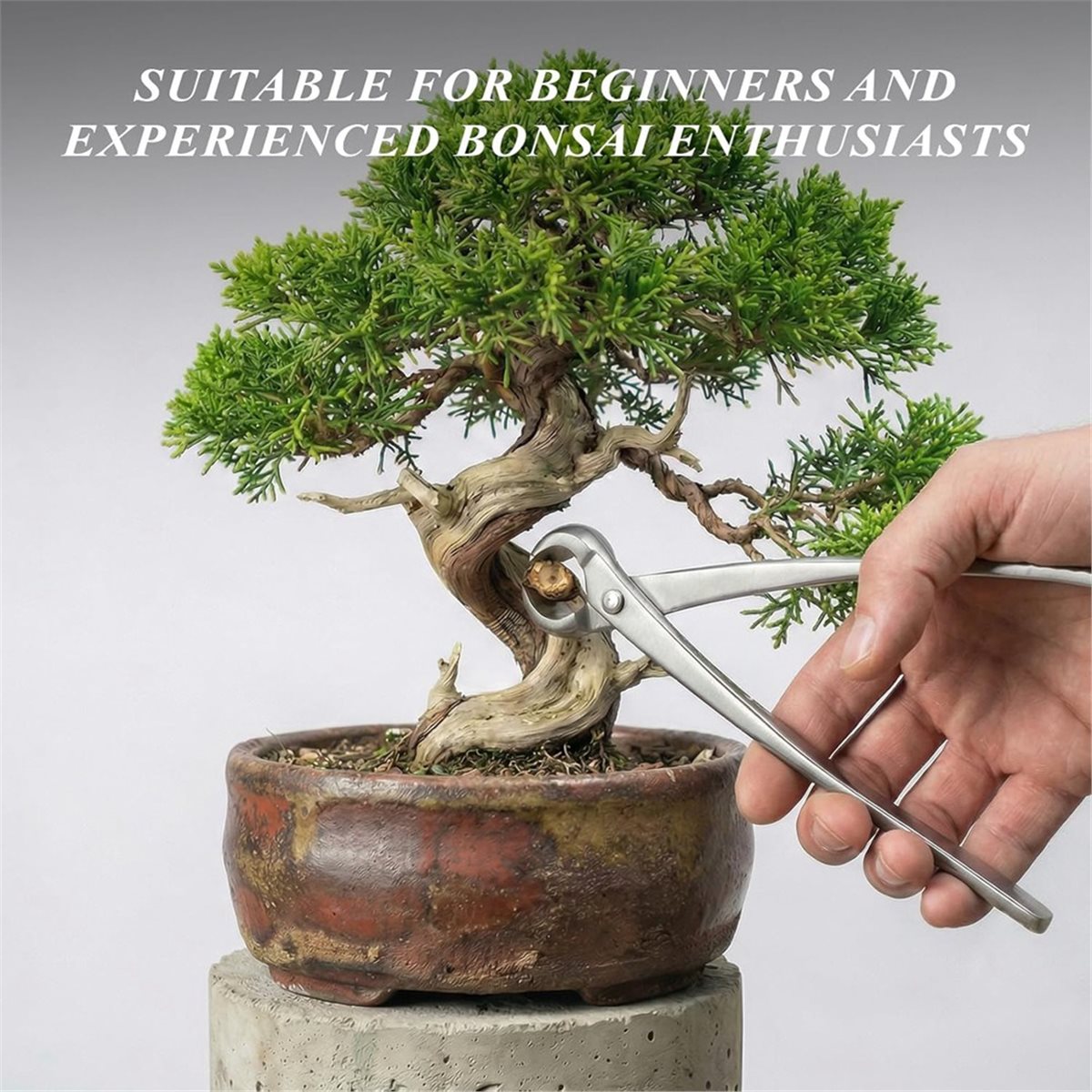 ชุดเครื่องมือบอนไซ AWAH - ชุด  - Concave Branch Cutter บทวิจารณ์และราคา