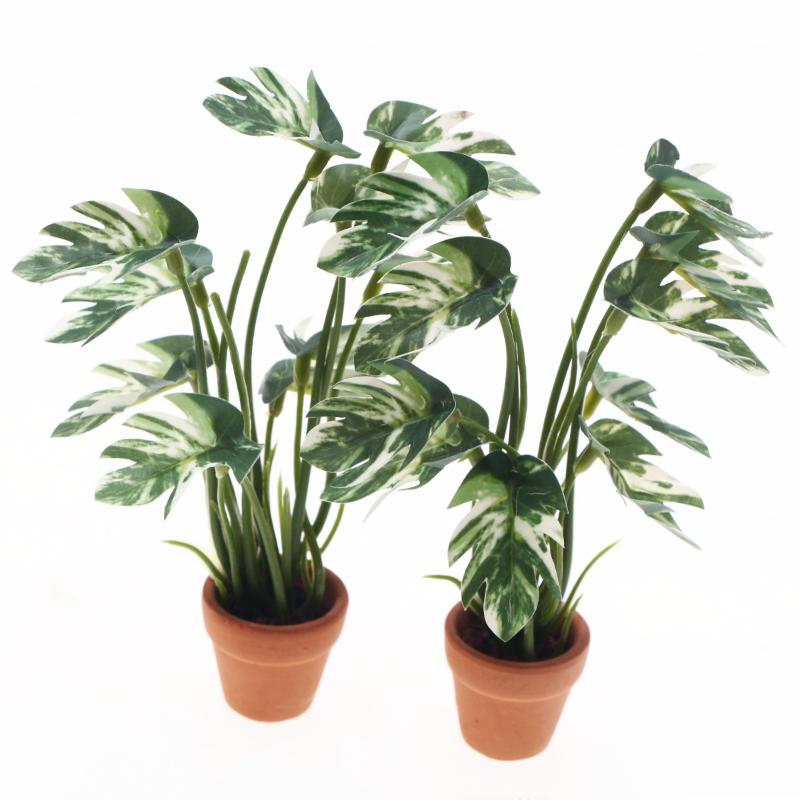 ใหม่! ต้นมอนสเตอร่าจำลอง 1 ชิ้ - Us Bonsai Garden บทวิจารณ์และราคา