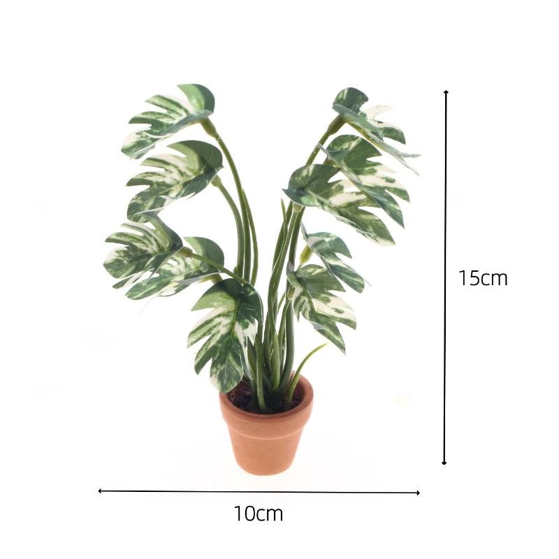 ใหม่! ต้นมอนสเตอร่าจำลอง 1 ชิ้ - Us Bonsai Garden บทวิจารณ์และราคา