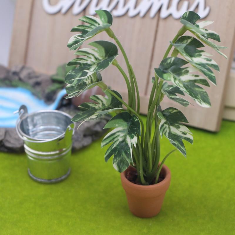 ใหม่! ต้นมอนสเตอร่าจำลอง 1 ชิ้ - Us Bonsai Garden บทวิจารณ์และราคา